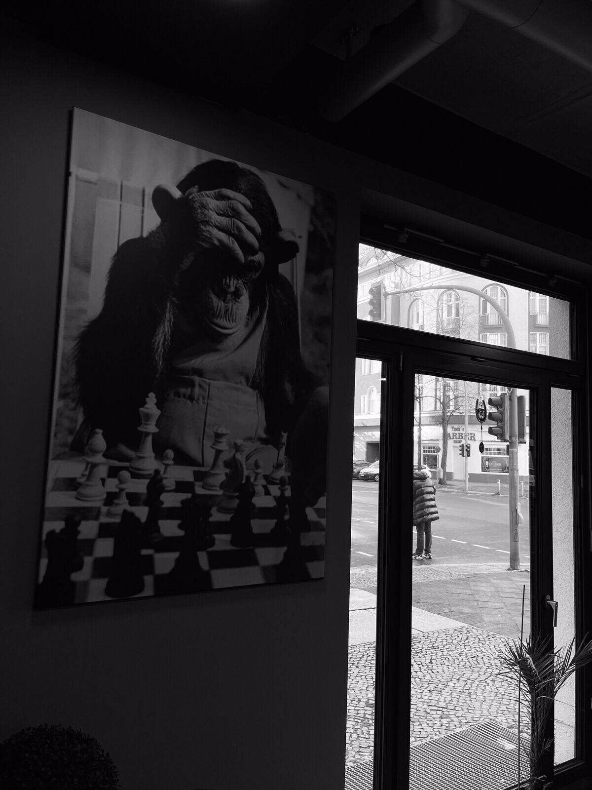Galeriebild 7